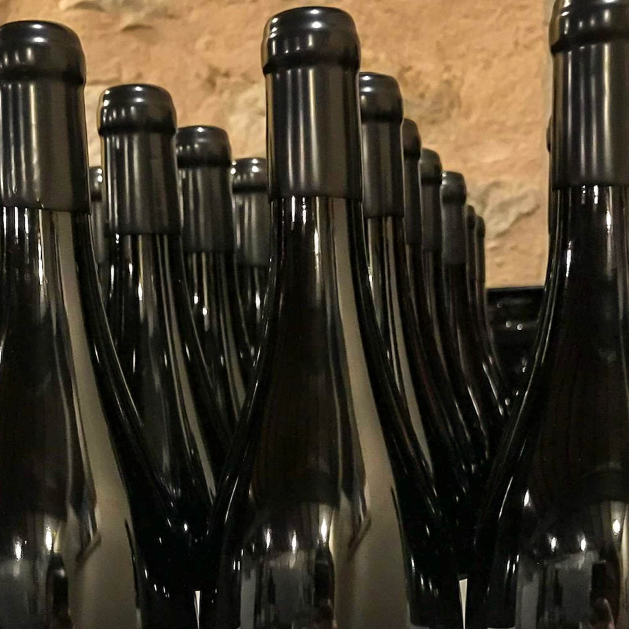 Vignes en Printemps — Domaine Hoffmann-Demangeot